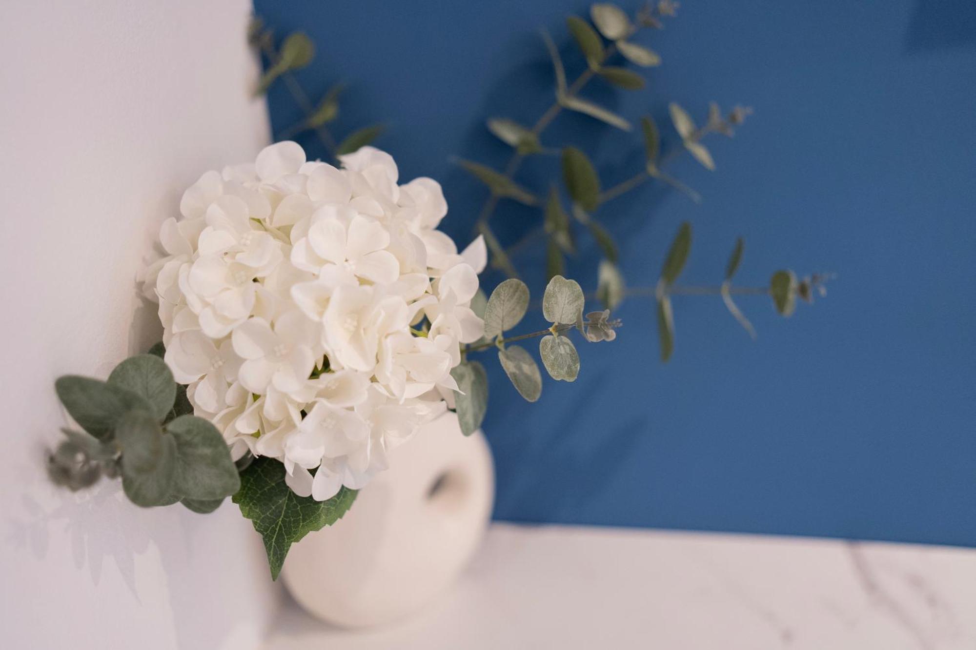 Regent Blue Apartments - Free Private Parking موستار المظهر الخارجي الصورة
